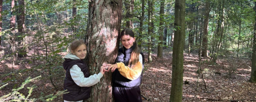 Przytul się do drzewa