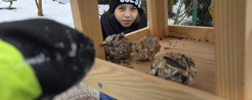 Zuchy dokarmiają ptaki
